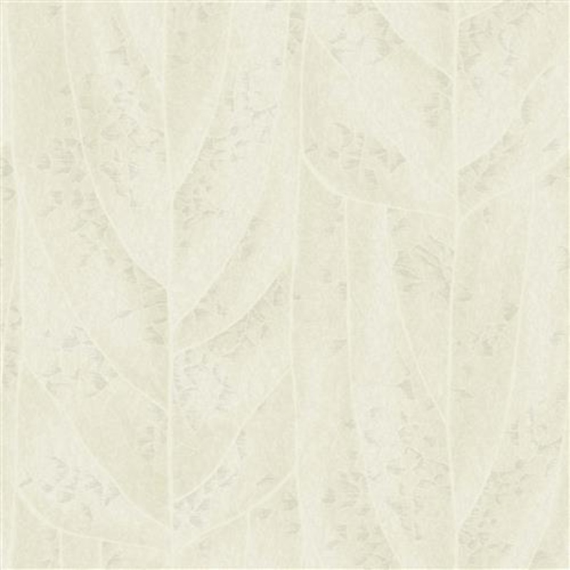 NT6145 -Candice Olson Natural Discovery Wallpaper Dicot