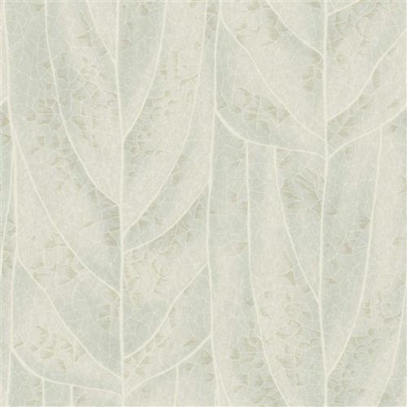 NT6142 -Candice Olson Natural Discovery Wallpaper Dicot