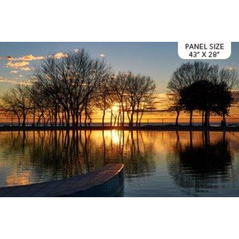 P136 THE VIEW FROM HERE LAKESIDE NIGHT Panel