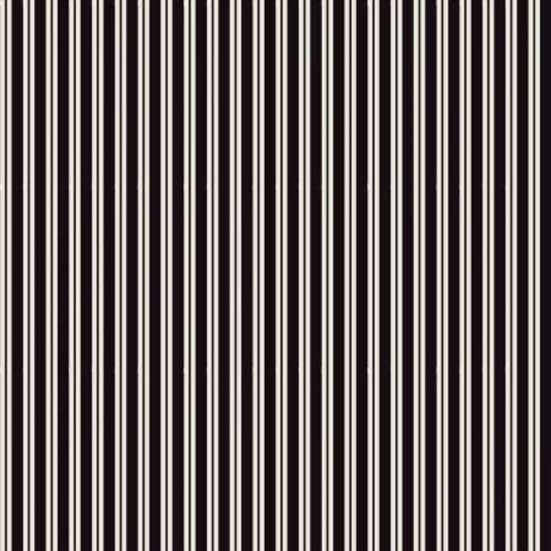 Spooky Hollow Stripe Black