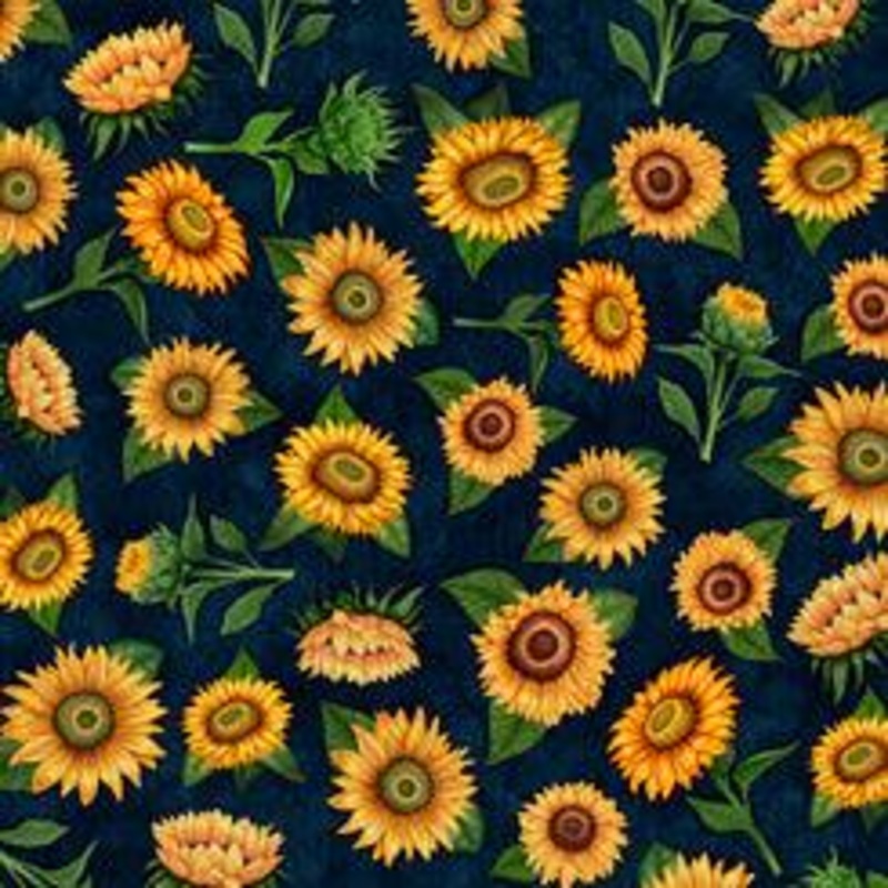 Sunrise Farms SUNFLOWER TOSS MIDNIGHT
