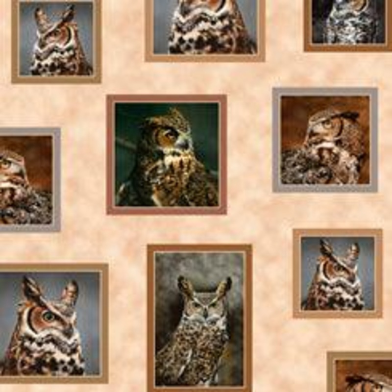 Nocturnal Wonders GREAT HORNED OWLS SMALL PATCHES TAN