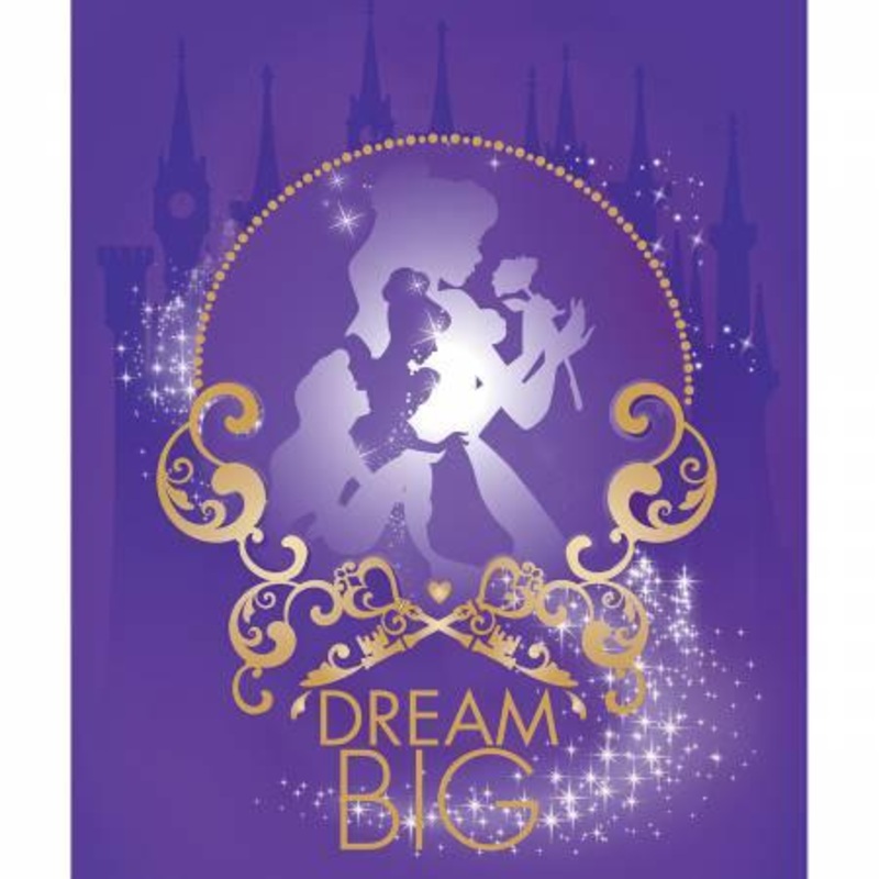 P117 Disney Princess Dream Big Panel