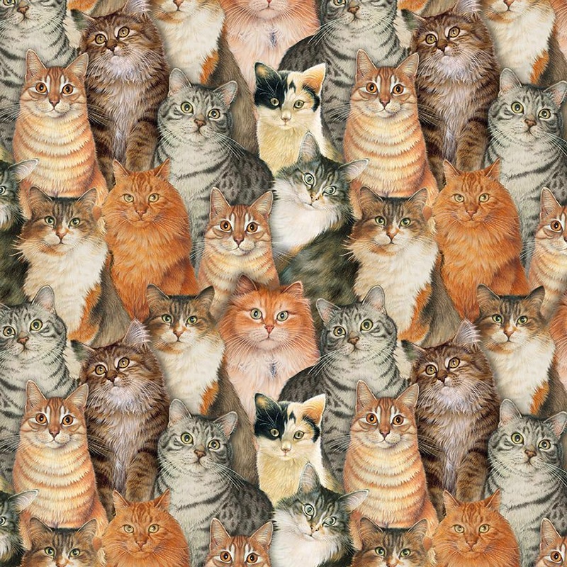 Sophisti-Cats Cat Collage