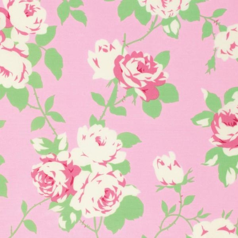 Pink Rose Vine