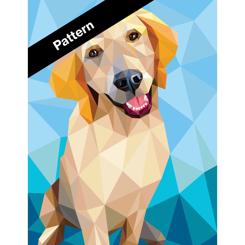 Everest the Retriever Pattern