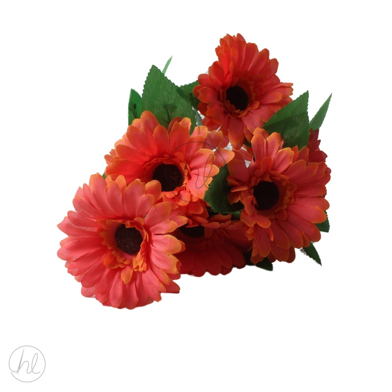 FLOWER DAISY RED FREE