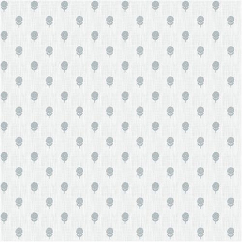 Mirembe (Fc) - Dusty Miller