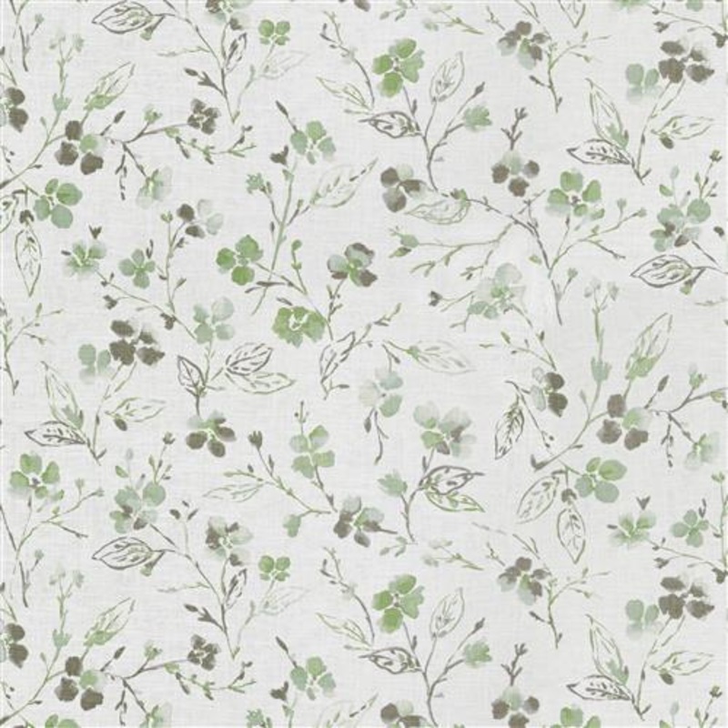 Montoya (Fc) - Fern