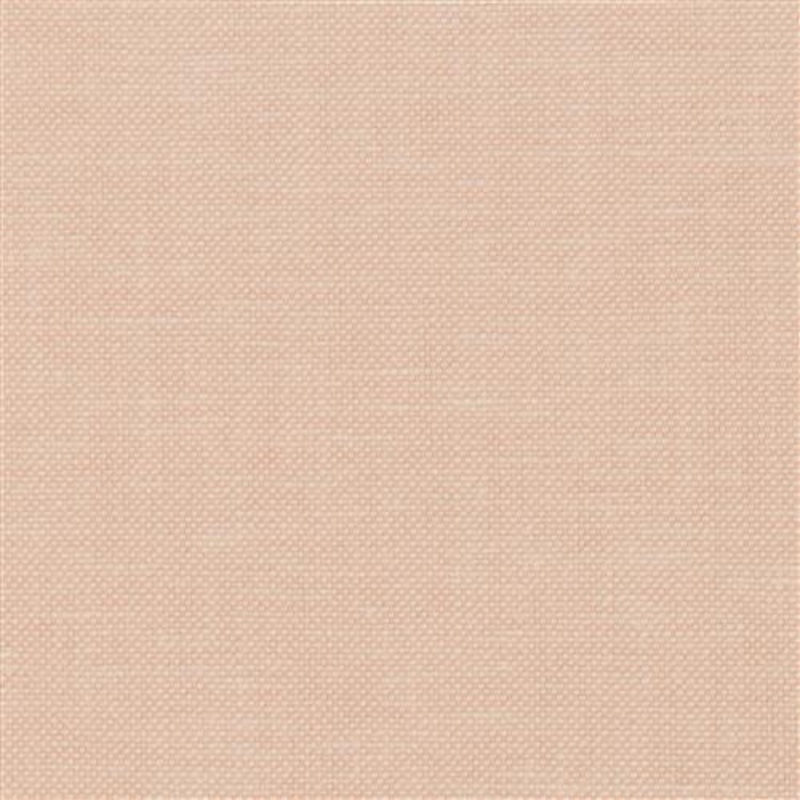 Polo Club - Blush