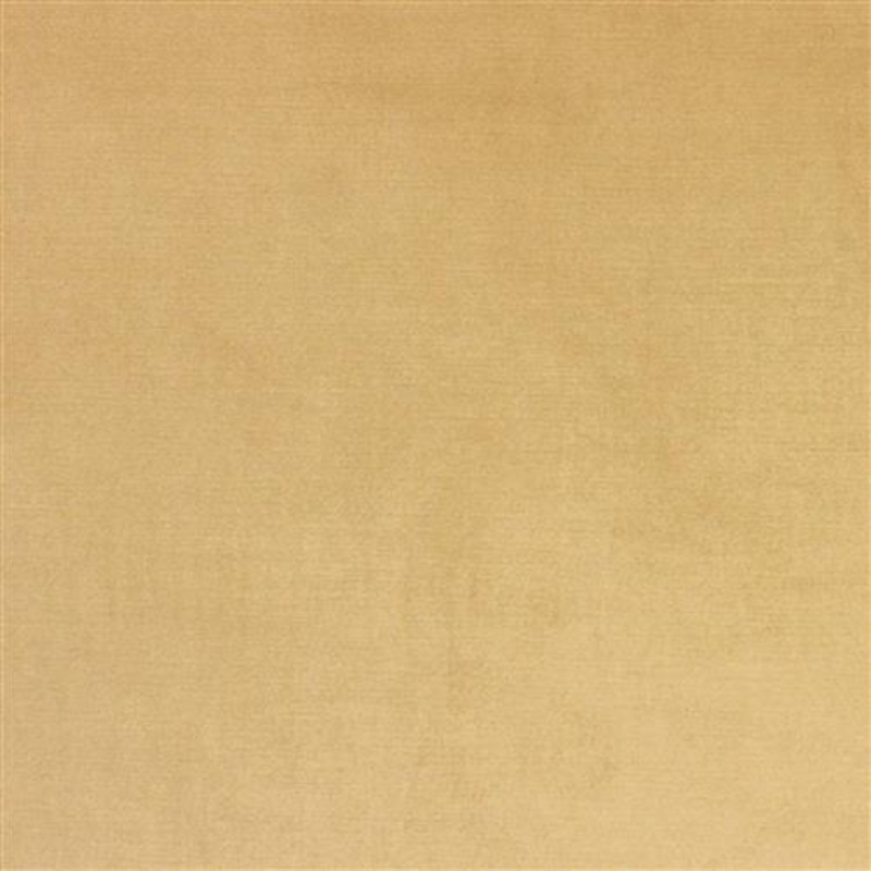 Viviane Pfr (Ri) - Performance - Camel