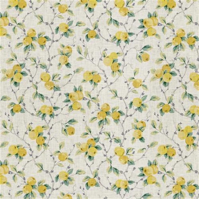Baines (Fc) - Jaclyn Smith - Saffron
