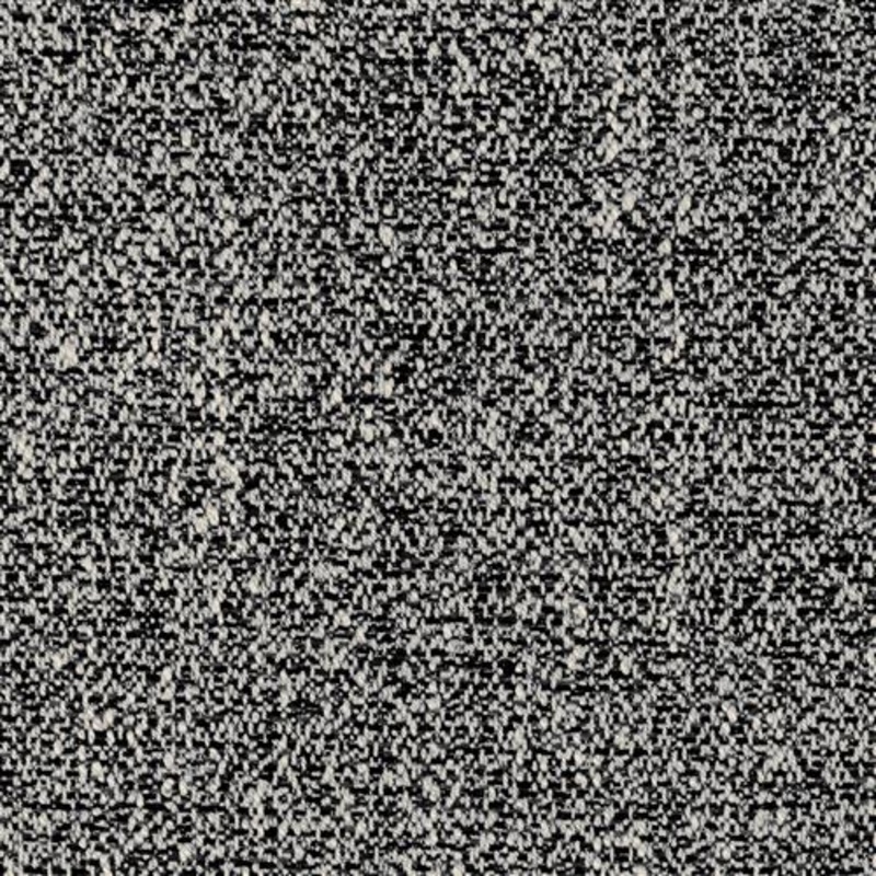 Carlo (Kc) - 81 Ebony