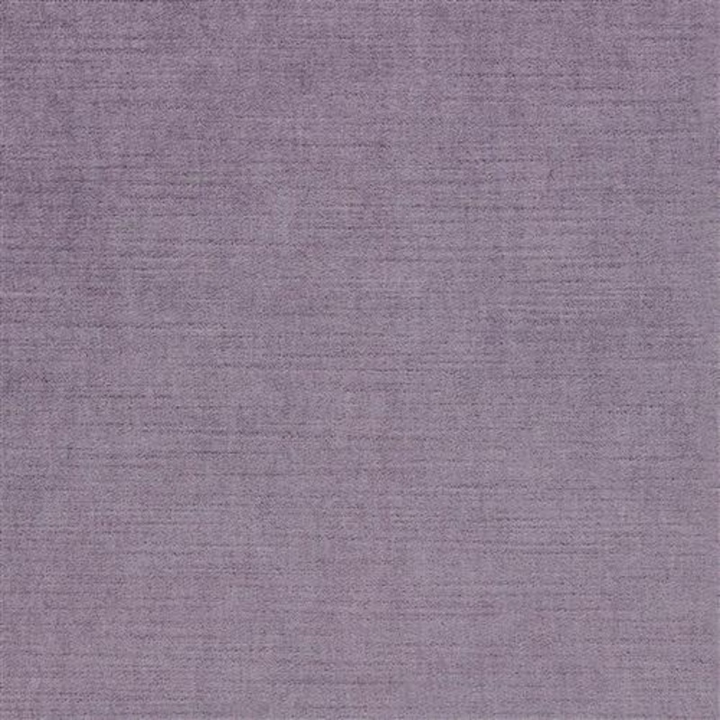 Ella Pfr (Ri) - Performance - Phlox