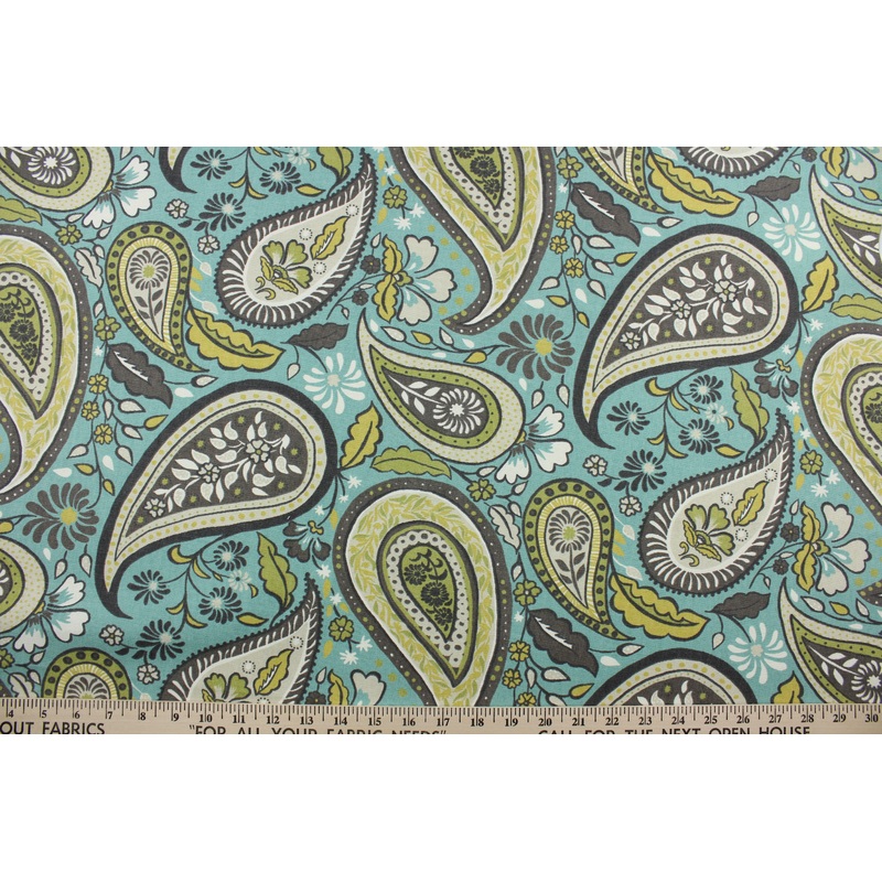 Robert Allen Art Paisley in Rain