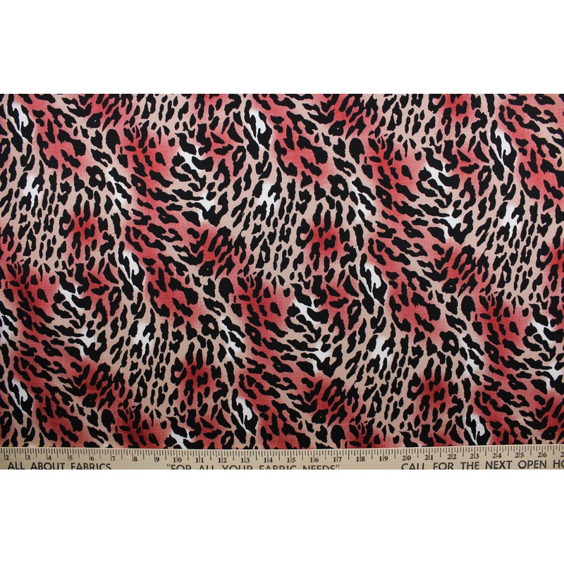 Fiery Leopard in Rose