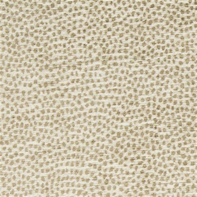 Ghepardo - Crypton Home - Dove