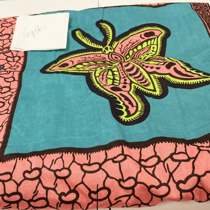 African cotton Butterfly