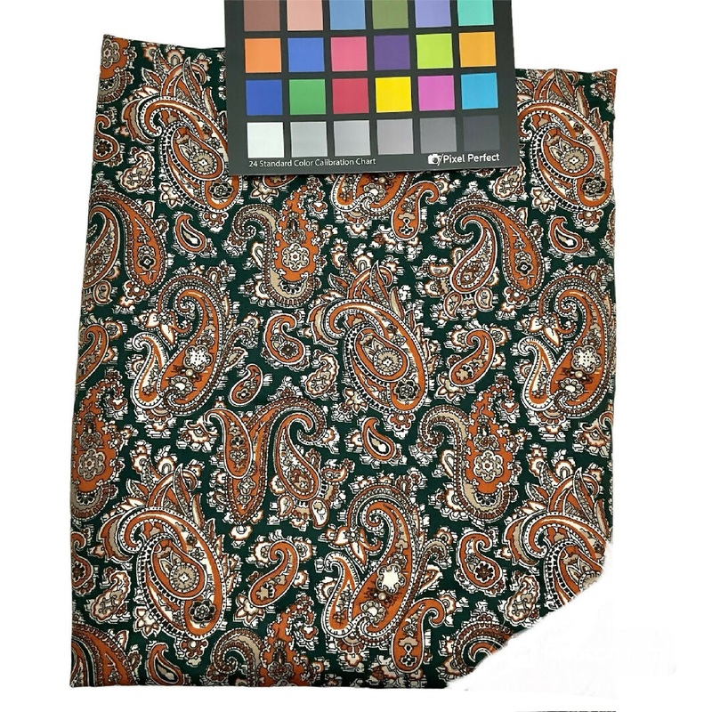Paisley Print Fabric - 7/8 yds